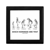 Which Hominoid Are You? (Skeletons Humor) Trinket Box