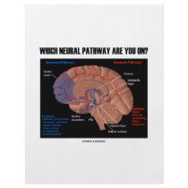 Which Neural Pathway Are You On? Flyer Design
