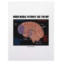 Which Neural Pathway Are You On? letterhead