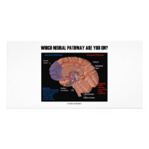 Which Neural Pathway Are You On? photo cards