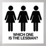 WHICH ONE IS THE LESBIAN -.png Poster