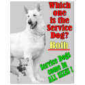 Which One Is The Service Dog? t-shirts