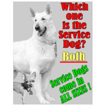 Which One Is The Service Dog? t-shirts