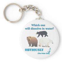 Which one will dissolve in water Polar Chemistry Key Chains