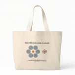Which Orange Circle Is Larger? (Optical Illusion) Bags