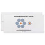 Which Orange Circle Is Larger? (Optical Illusion) Rack Card Template