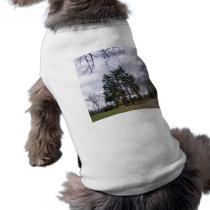 Which Road To Take pet clothing