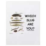 Which Slug Are You? flyers