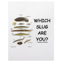 Which Slug Are You? Personalized Letterhead