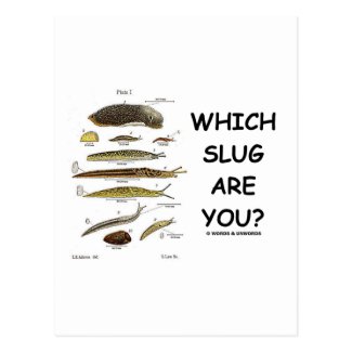 Which Slug Are You? Postcards