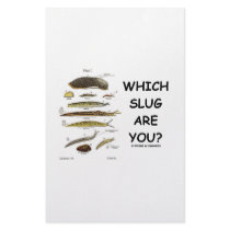 Which Slug Are You? Stationery Paper