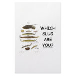 Which Slug Are You? Stationery Paper