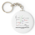 Which State Of Matter Are You In? (Chemistry) Key Chains