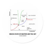Which State Of Matter Are You In? (Chemistry) Round Sticker