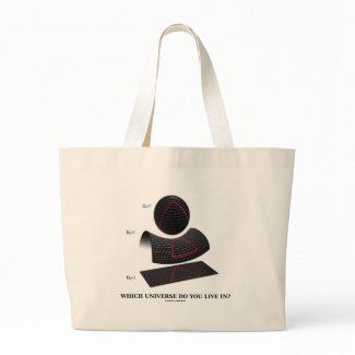 Which Universe Do You Live In? (Physics Humor) bag