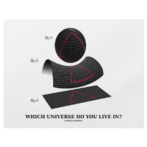 Which Universe Do You Live In? (Physics Humor) flyers