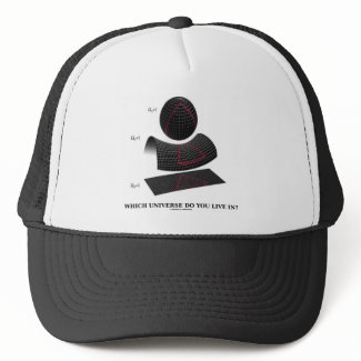 Which Universe Do You Live In? (Physics Humor) hat
