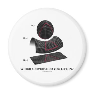 Which Universe Do You Live In? (Physics Humor) magnet