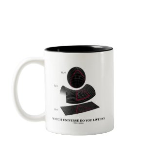 Which Universe Do You Live In? (Physics Humor) mug