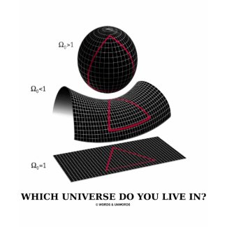 Which Universe Do You Live In? (Physics Humor) shirt