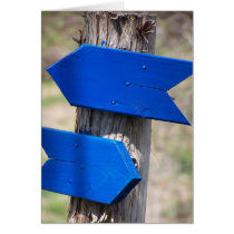 which way? cards