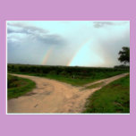 Which way now~Double Rainbow at Crossroads postcards