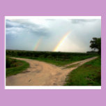 Which way now postcards
