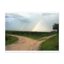 Which way now postcards