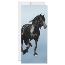 Which Way Now rack cards by laureenr Which Way Now rack cards
