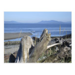 Whidbey Island 4 postcards