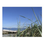 Whidbey Island 5 postcards