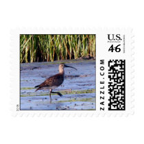 Whimbrel postage