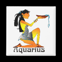 Whimsical Aquarius Magnets magnets