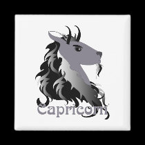 Whimsical Capricorn Magnets magnets