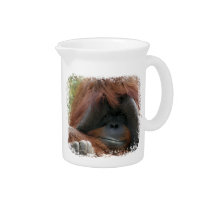 Whimsical Orangutan Wildlife Photography Drink Pitcher