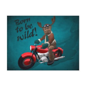 Born to be wild