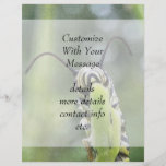 Whimsical Young Monarch Butterfly Caterpillar Full Color Flyer
