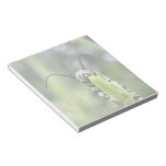 Whimsical Young Monarch Butterfly Caterpillar Note Pads