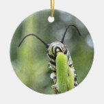 Whimsical Young Monarch Butterfly Caterpillar Christmas Ornaments