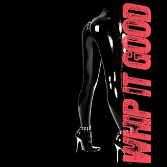 Whip it Good - shirt