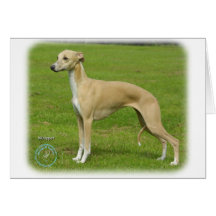 Whippet 9A002D-01 Card