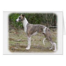Whippet 9R046D-085 Cards