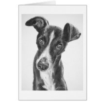 Whippet Black with White Blaze Card