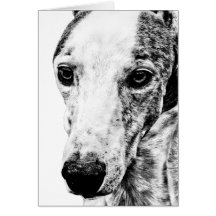 Whippet dog cards