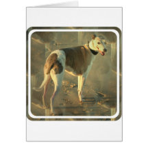 Whippet Dog Greeting Card