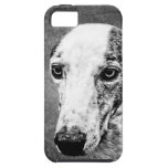 Whippet dog iPhone 5 cases