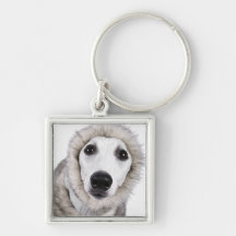Whippet dog wearing fur coat, studio shot key chain