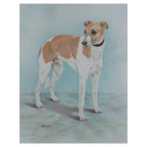 Whippet Full Color Flyer