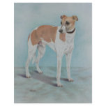 Whippet flyers
