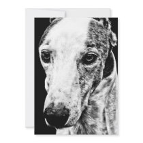 WHIPPET CUSTOM INVITATIONS